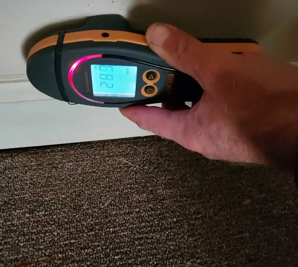 Moisture detection at baseboard during Sewage Cleanup & Sanitation in Hockessin